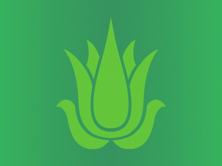 Nature’s Beauty Aloe Vera icon